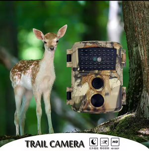 2X HD 1080P Waterproof Outdoor Hunting Trail Camera